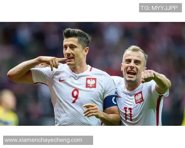 波兰与立陶宛足球比赛最新比分及精彩瞬间回顾