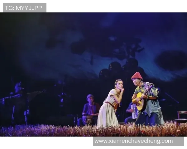 王岚的音乐旅程与人生哲学探索：从创作到演出背后的故事与感悟