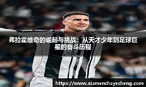 Bsports必一体育